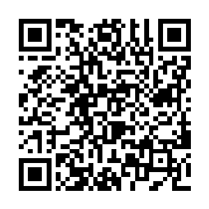 等我反应过来的时候雅文两只手已经抓住了我的领口二维码生成