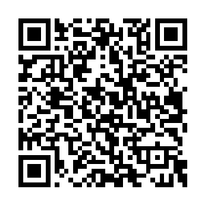 等我嫁到太守府那边定会想办法帮你除掉大夫人二维码生成