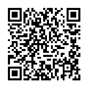 等我爹死了我就开始试验它们能不能带人飞……二维码生成