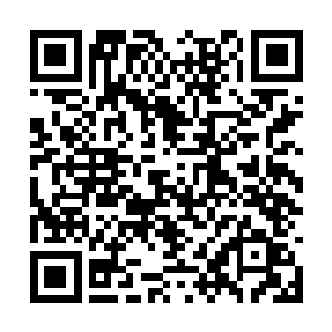 等我的圣道之极把柏掌峰的虚体烧成了灰烬的时候二维码生成