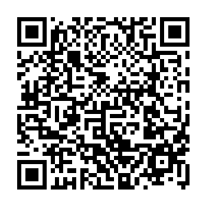 等所有的人到龙家之后一半的人由傲天用他的那个座驾带进去然后又老祖宗带着二维码生成