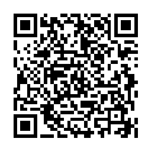 等日后在不会影响世俗的地方碰上了再打也不迟二维码生成