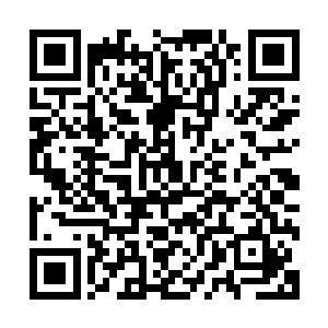 等本少成为了内门弟子的那一刻本少就会让你知道什么叫后悔二维码生成