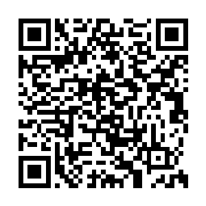 等来的却是连四爷要被云甄夫人分出连家的消息二维码生成