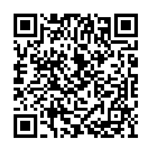 等来的是闻老太爷按府里规矩赠予闻悦意的银两二维码生成