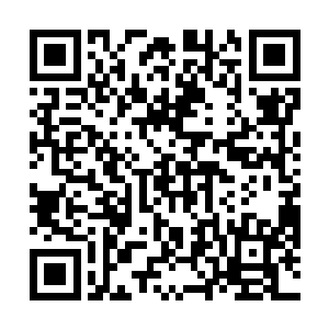 等海水差不多过快没到胸口的时候我才来到那块礁石旁二维码生成