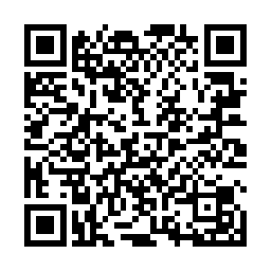等白石和马在国内国外的所有新闻全部都看了一遍之后二维码生成