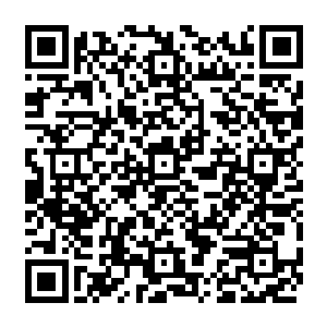 等看到这个少年真的都在看着一本自己看了都觉得头晕的全英书籍时也瞬间拜服了二维码生成