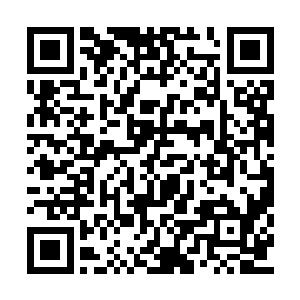 等看清眼前抱着人埋首痛哭的是景祺宫的苏芷后二维码生成