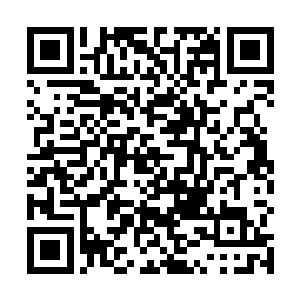 等着后面的巨大客轮――如果能叫做客轮的话――到来二维码生成