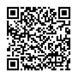 等着吧……高医生马上就把收集的证据带过来了二维码生成
