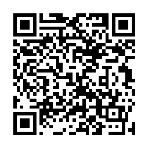 等着我恢复了之后再去教训神机宗和苍澜宗那帮子垃圾二维码生成