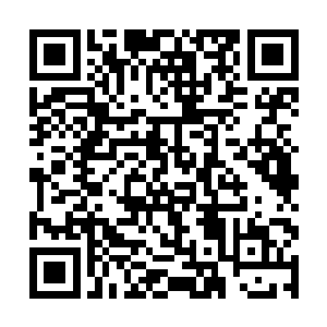 等着洛水嫣她们打开礼物盒子的时候就让苏凡撒花瓣二维码生成