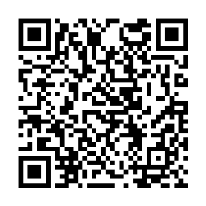 等着苏凡和阿米在这偌大的花园之中刚刚站稳脚步二维码生成