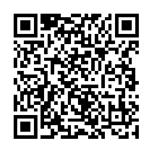 等着金童撕烂自己的胸口后再让红衭把解药给交出来二维码生成