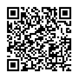 等穆扬灵转身去摸那些羊的时候才低声将自己的猜测和他们说了二维码生成