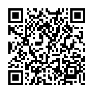 等等……为什么还没有出现获得杀戮经验的通知二维码生成