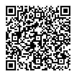 等等……再等等……要确认那些房屋或者藏身处里面的武装分子都暴露到空地上来二维码生成