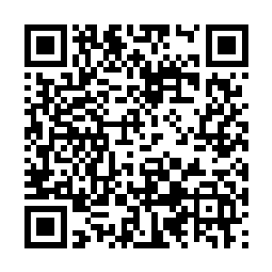 等等……我看到了什么……天啊……我看到了什么二维码生成