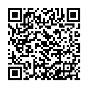 等级竟然从下品下等圣域绝学提升到了下品中等二维码生成