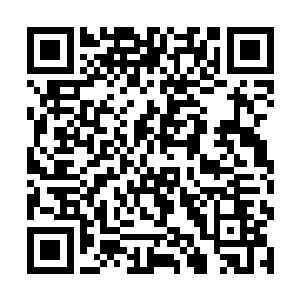 等老大的婚礼结束后就找莫咏星去和拍卖行的人谈谈二维码生成