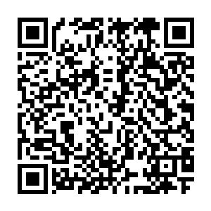 等过几天我还要送妹妹去上大学呢……我争取早点儿把这个集训任务完成吧二维码生成