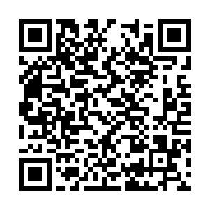 等这次回去之后绝对可以冲击四大核心弟子的位置二维码生成