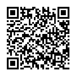 等闲的乾坤世界根本经手不住七八位六品开天这般炼化二维码生成