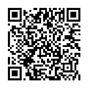 等陈观去医院检查的结果出来后再决定如何处理二维码生成