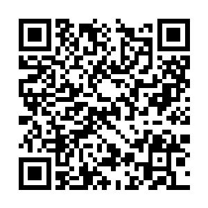 等雨果签了十几个人之后才发现自己还是经验不足二维码生成