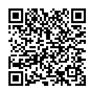 等高扬拉着叶莲娜的手在一张圆桌前坐下来的时候二维码生成