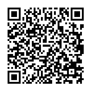 等齐修远在侍卫的指点下找到这里时就见他将要开花的茶花全被剪成了蘑菇顶二维码生成