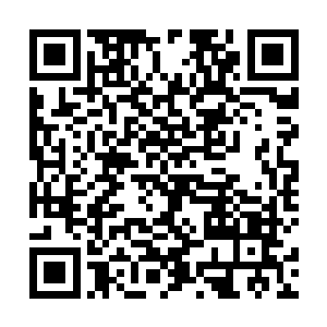 筑基丹对于筑基修士也算是一个不错的增进法力的丹药二维码生成