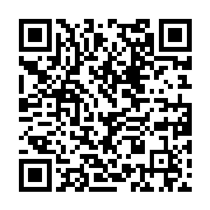 筑起精神壁垒在书架前慢慢地寻找自己的目标书籍二维码生成