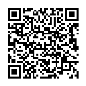 答应给她治理天一道的妖族仙修的条陈也赫然在列二维码生成
