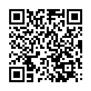 策划孩子生日宴会的负责任一天几通电话联系二维码生成