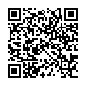 简卓弘看着杨洛消失在电梯里的身影半天没有说话二维码生成