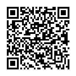 简单一句话让朴志轩现出一副纠结到了极致的表情二维码生成