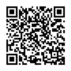 简单来说就好像是农民种地的时候用犁头从头到尾给推了一遍二维码生成