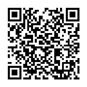 简单的旋律却透着拜仁慕尼黑球迷对荣光浓浓的爱二维码生成