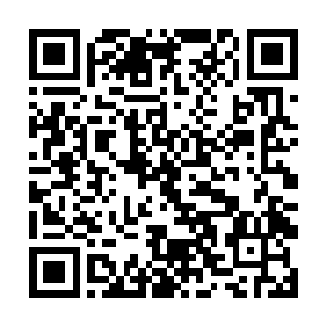 简单的说余一言他们小组一个星期的努力真的白费了二维码生成