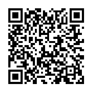 简直令人绝望的气息从碧海潮生大阵之中逸散出来二维码生成