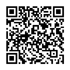 简直像是有一大本航海日志在我脑子里熊熊燃烧一样二维码生成