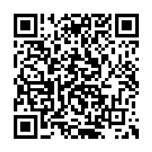 简直堪比主席在人民大会堂发表重要讲话的姿态二维码生成