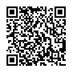 简直就像是在一个密封了几十年的屠宰场中飘出来的味道一样二维码生成