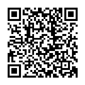 简直就等于是一个小孩子抱着大量的魔晶石在闹市当中行走啊二维码生成