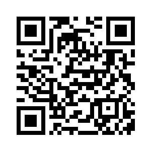 简直是一份简易的航线图了二维码生成