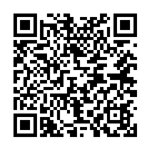 简直比在威夷次大陆举办的航空展览还要热闹几分二维码生成