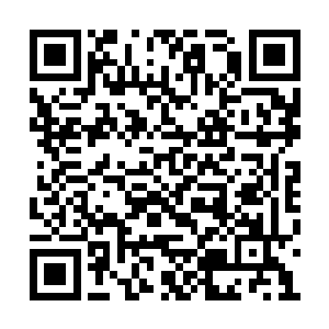 简直比直接看不起苍茫山还要让东方幽难以接受二维码生成