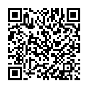简约甚至连他们身上的储物手镯都没有要他们交出来二维码生成